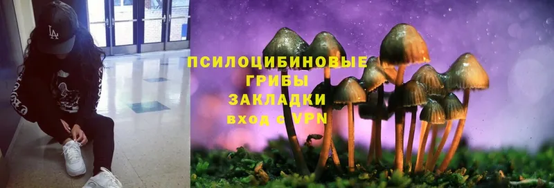 кракен как зайти  Белоозёрский  Галлюциногенные грибы Psilocybe 